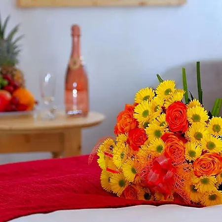 Hotel Lenka 3*